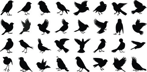 Silhouettes of Birds in Various Flying and Perching Poses, Vector Black Bird Icons, Wildlife Animal Illustrations for Nature and Design