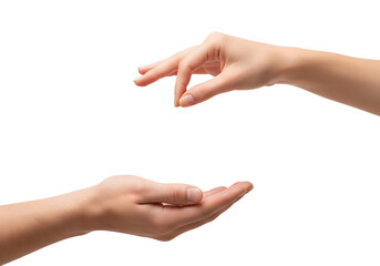 Woman's hands giving and receiving, a concept of charity or sharing. Isolated on transparent background, png