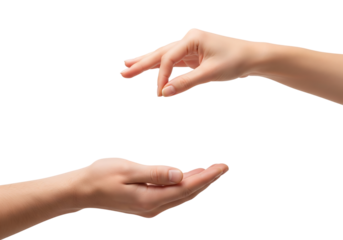 Woman's hands giving and receiving, a concept of charity or sharing. Isolated on transparent background, png