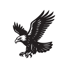 Flying Eagle vector art