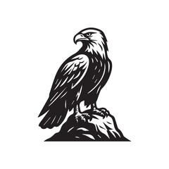 Eagle black and white designs