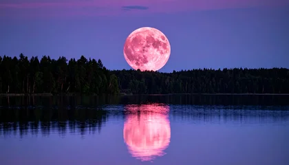 Keuken achterwand Reflectie Pink full moon rising over calm lake, reflected in still water, behind dark treeline at dusk  © Hhtps