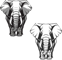 Two eternal elephants with a beautiful large trunk and symmetrical ears, elephant icon vector.