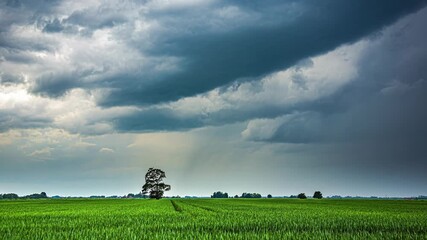 Dark clouds gathering over green field before thunderstorm with dramatic sky, rain showers pass over agriculture