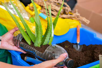 Hands Planting In Recycled Plastic Bottle Demonstrating Sustainable Indoor Gardening