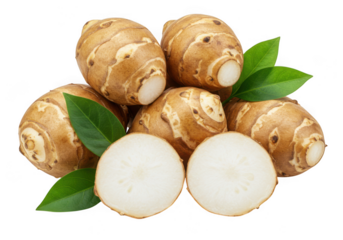 Fresh jerusalem artichokes with green leaves isolated on transparent background
