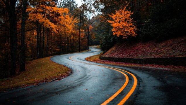 Curvy road winds through an autumn forest. Orange and brown leaves adorn the trees and ground. Two yellow lines guide traffic through the wet pavement path