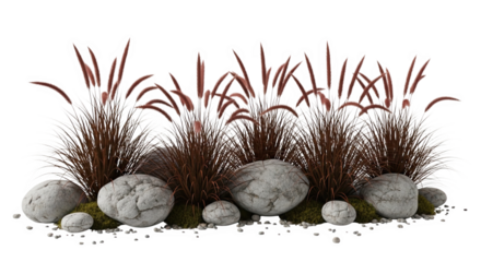 Ai generated image of tall brown ornamental grass with rocks and moss, isolated on white isolated on transparent background