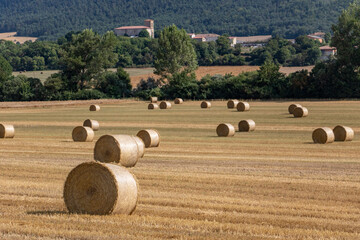 San Martín de Losa (Burgos)