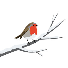 European Robin Bird on Snowy Branch. Winter Wildlife Illustration.