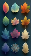 Colorful collection of leaves arranged in artistic display on a dark background showcasing autumn and winter variations