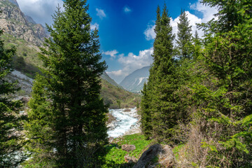 Ala-Archa Park, Rushing river flows through dense evergreen forest. Rugged mountains, lush...