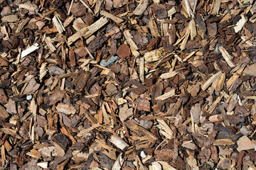 A dense overhead view showcases a natural ground covering of diverse wood chips, offering a rustic...