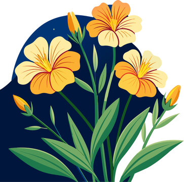 Evening Primrose flowers