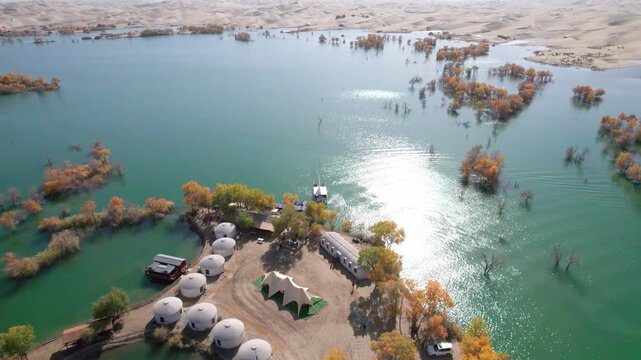 Drone view of lake in desert with Populus euphratica forest with yellow golden foliage on sunny autumn day in Xinjiang, China, aerial view of Huludao Populus euphratica forest, 4k real time footage.