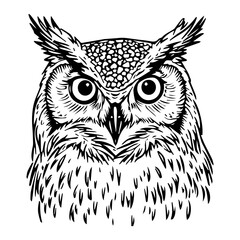 Eagle owl vector illustration isolated on white, a cute wild bird animal cartoon design