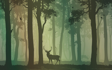 Vector background with a deer in the forest. Good detail, beautiful color scheme, nice soft light.