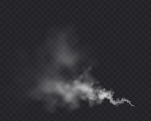 Smoke cloud isolated in transparent background. White realistic steam