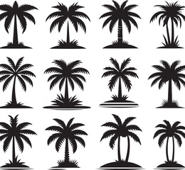 Palm tree silhouettes on a tropical summer landscape with beach and nature elements