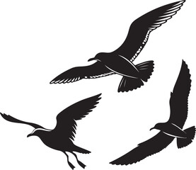 Obraz premium Artistic silhouette of seagulls in flight against the sky, featuring the word 