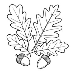 Oak Leaves and Acorns Line Art Illustration for Coloring Pages