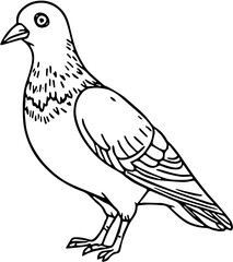 A black silhouette of a pigeon, facing right, stands on a white background. The bird is depicted in a simple, elegant style, suitable for logo design or other graphic applications.