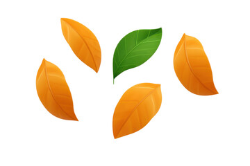 Autumn leaves falling nature scene digital illustration bright colors. Isolated on transparent background, png.