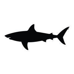 Black Silhouette of a Great White Shark on a White Background