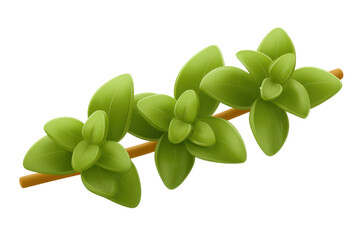 Decorative green plant arrangement studio image minimalist close-up. Isolated on transparent background, png.
