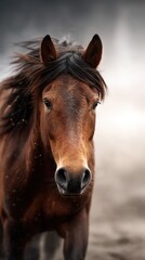 Naklejka premium Majestic brown horse with flowing mane stands confidently in a misty landscape at dawn