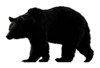 Wild bear walking silhouetted against nature scene isolated on transparent background, png