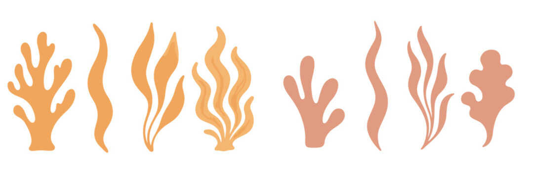 Colorful abstract coral shapes create a vibrant underwater scene for artistic inspiration and design