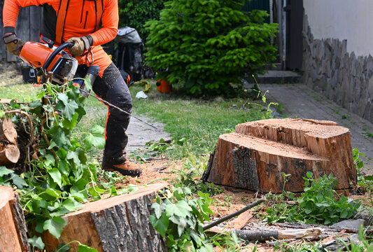 Tree removal process with chainsaw in a backyard during daytime near a house - Powered by Adobe