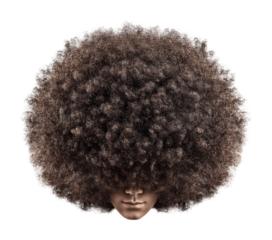 Vibrant curly hair portrait unique expression isolated on transparent background, png