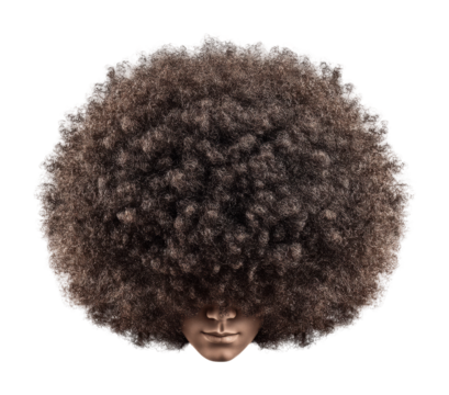 Vibrant curly hair portrait unique expression isolated on transparent background, png