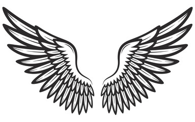 Obraz premium Ornate Angel Wings Spread in Black and White Detailed Vector Illustration for Design Projects and Creative Works