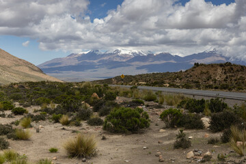 On the way across the Altiplano, Peru