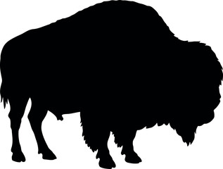 Black bison silhouette american buffalo wildlife icon