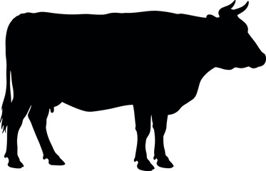 Black cow silhouette standing side view