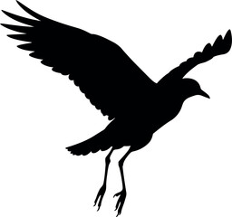 Black silhouette bird flying landing isolated white background