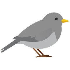 bird,animal,nature modern flat vector illustration for wildlife environment ecology design vector graphic for education