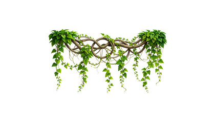 Obraz premium Green branch with bright leaves and visible roots symbolizing nature's growth isolated on white background