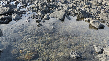 Tide Pool on Basalt Rock Beach in Pyoseon, Jeju Island, South Korea
