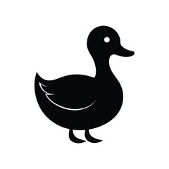Obraz premium duck isolated on white