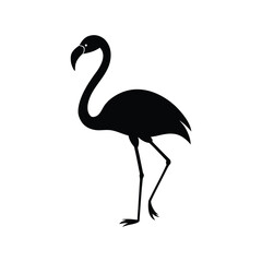 flamingo silhouette isolated on white