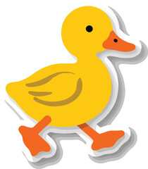A cartoon duckling with yellow feathers and orange beak walking on a white background.