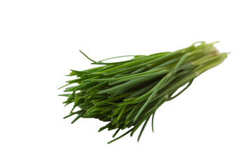 Fototapeta premium Fresh green chives bunch herb culinary