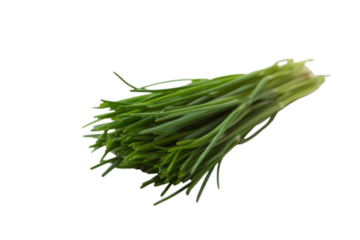 Fresh green chives bunch herb culinary