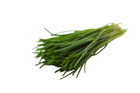 Fresh green chives bunch herb culinary