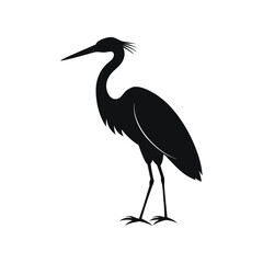 Obraz premium egret on a black background